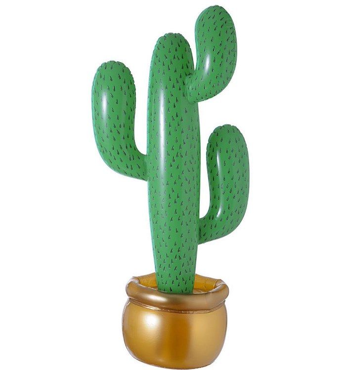cactus-deserto-messicano